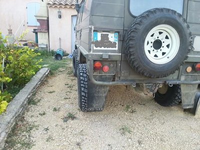 ar pinz.jpg