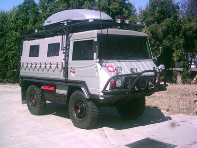 pinzgauer-gris.jpg