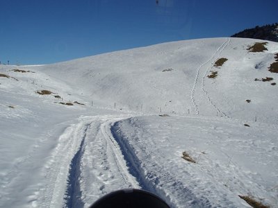 pc116963-.jpg