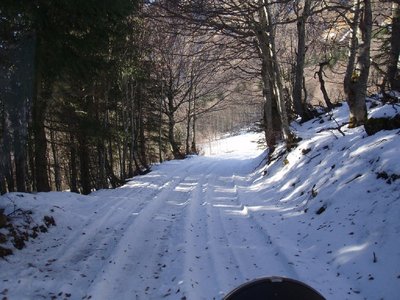pc116966-.jpg
