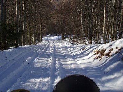 pc116968-.jpg