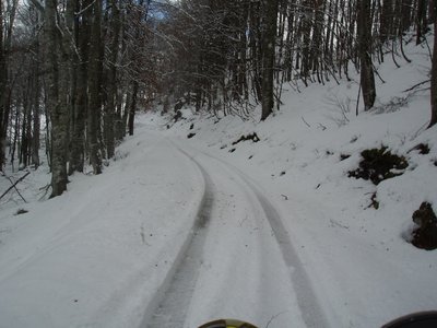 pc296992-.jpg