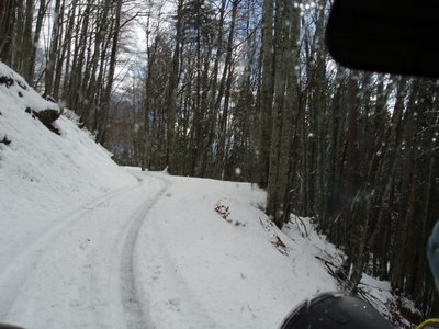 pc296993-.jpg