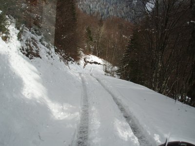 pc296994-.jpg