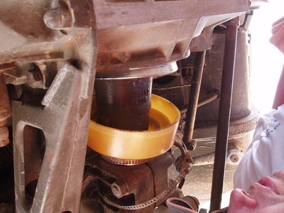 PB033554-.jpg