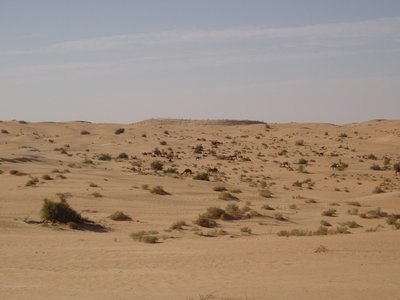 PA313405-.jpg