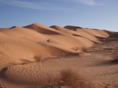 PA313410-.jpg