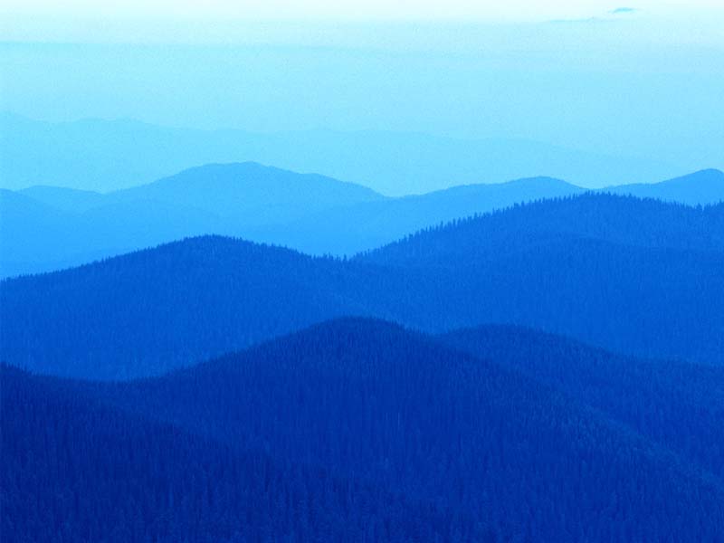 Collines.jpg