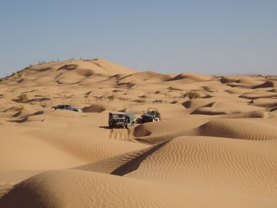 PB023498-.jpg