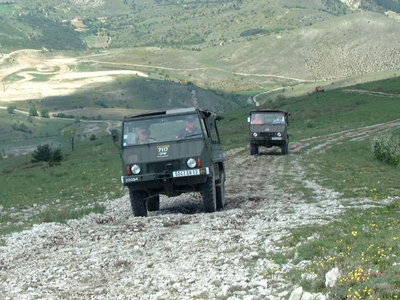 pinz 710M 2001.JPG