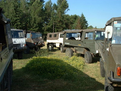 pinz 710m.JPG