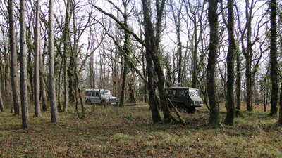 pinzgauer 710m.jpg